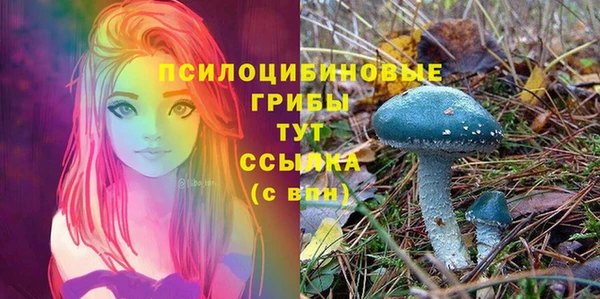 спайс Нягань