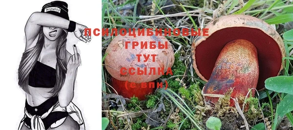 mix Няндома