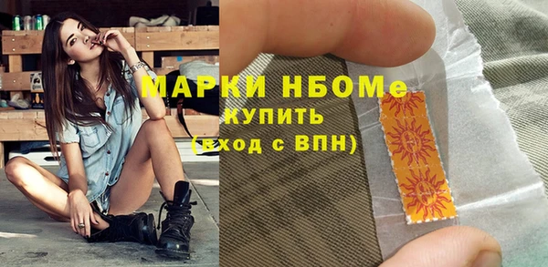 индика Нязепетровск