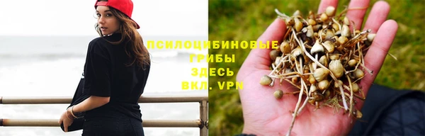 кокаин Новозыбков