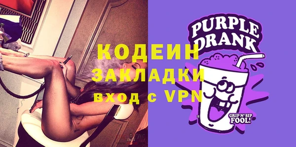 индика Нязепетровск
